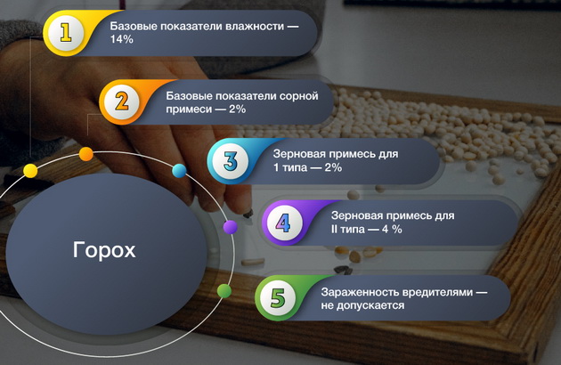 Инфографика горох